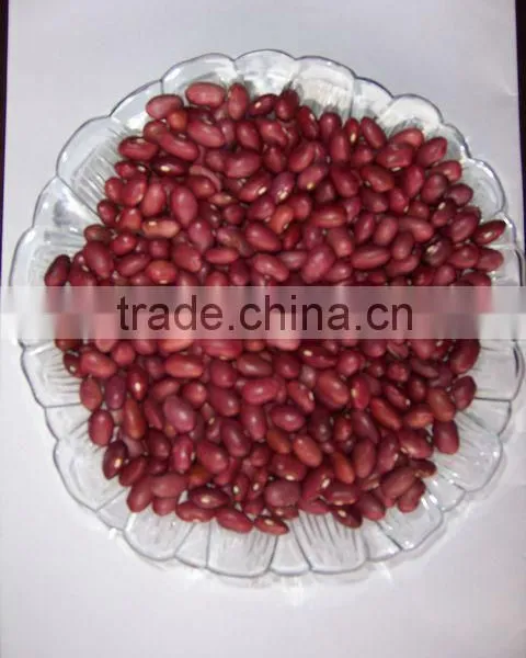 Chinese Red Kidney Bean Original Wholesales Price photo-6