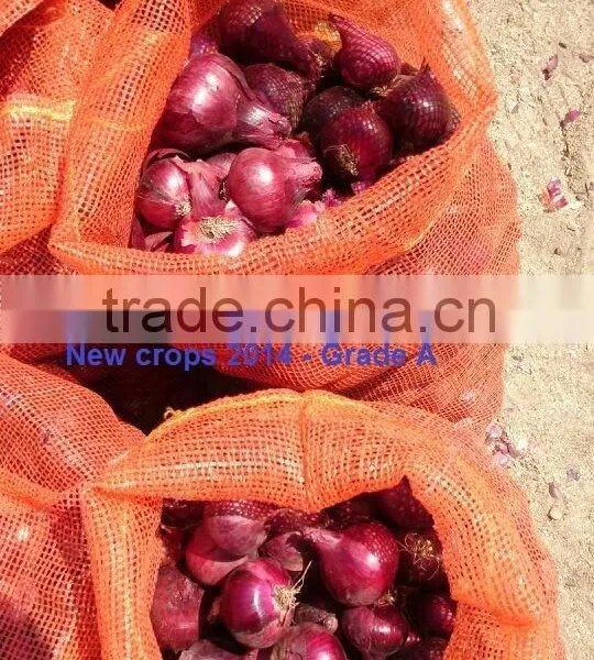 ONION SIZES ( 40 - 60 - 50 - 70 - 60 - 80 - up to 100 mm ) photo-6