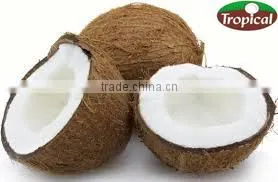 100 % NATURAL VIRGIN COCONUT OIL photo-6
