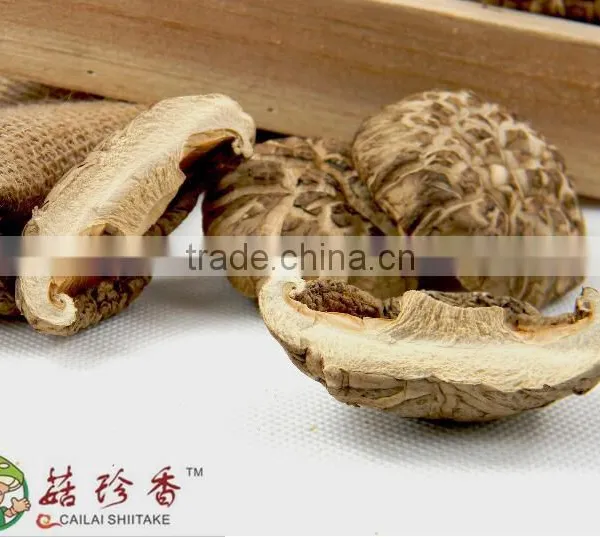 Hot Sell Dehydrated Shiitake Mushroom photo-2