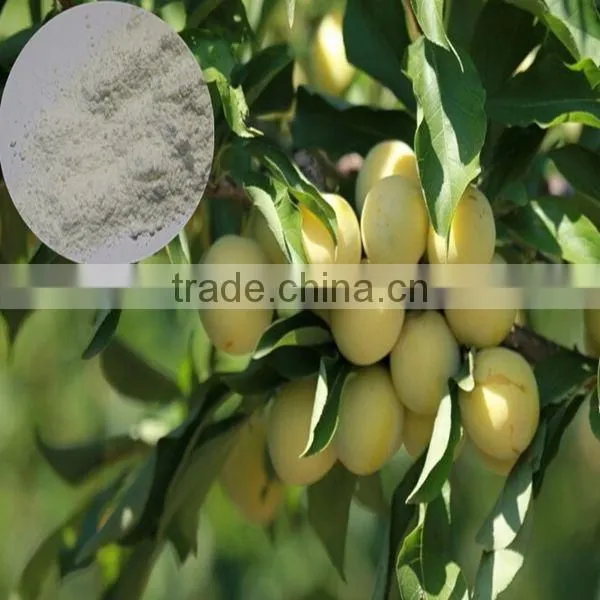 Supply Agricultral Grade 21.5% Zn Fertilizer Zinc Sulphate photo-2