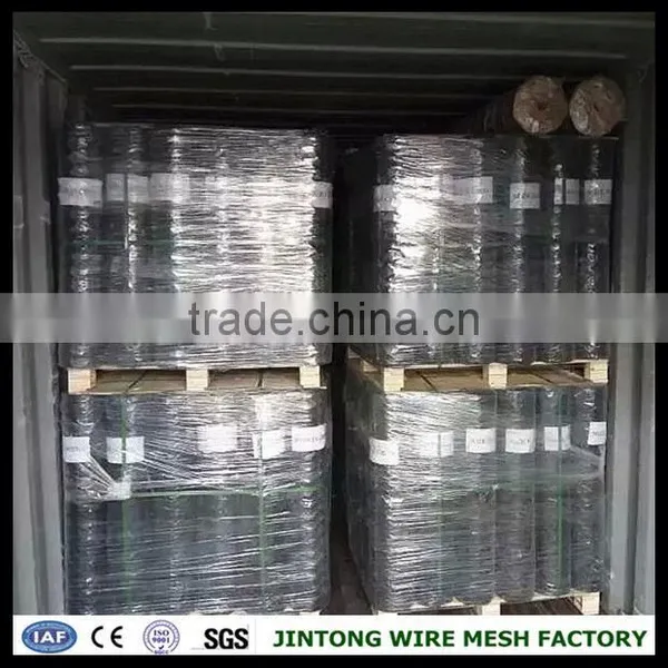 Square Chicken Wire Mesh Chicken Wire Mesh Specifications Chicken Wire Mesh Kenya photo-4