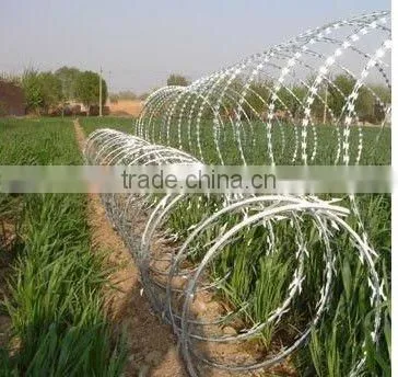 Hot Dipped Galvanized Razor Blade Wire photo-4