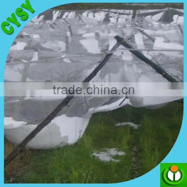 China Factory Supply Black and White Anti Hail Net /Hail Net for Vineyard With Cheap Price photo-6