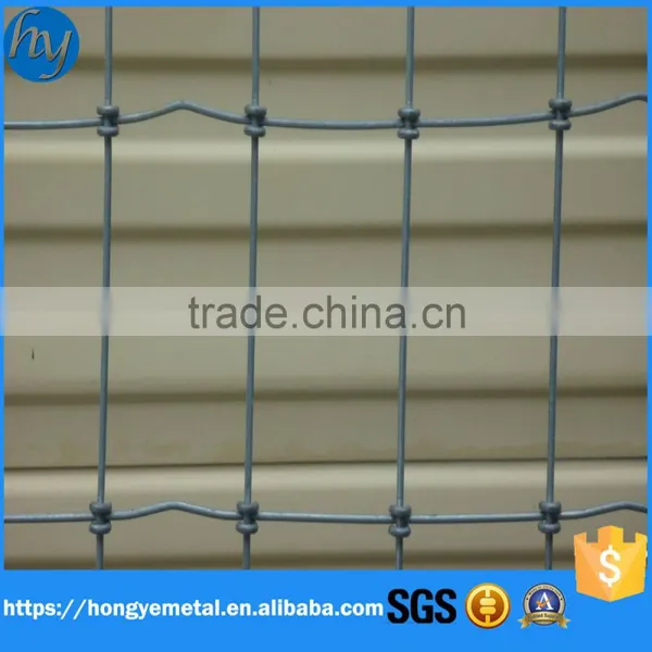 Welded Wire Mesh Prices/welded Wiremesh Export Abroad photo-5