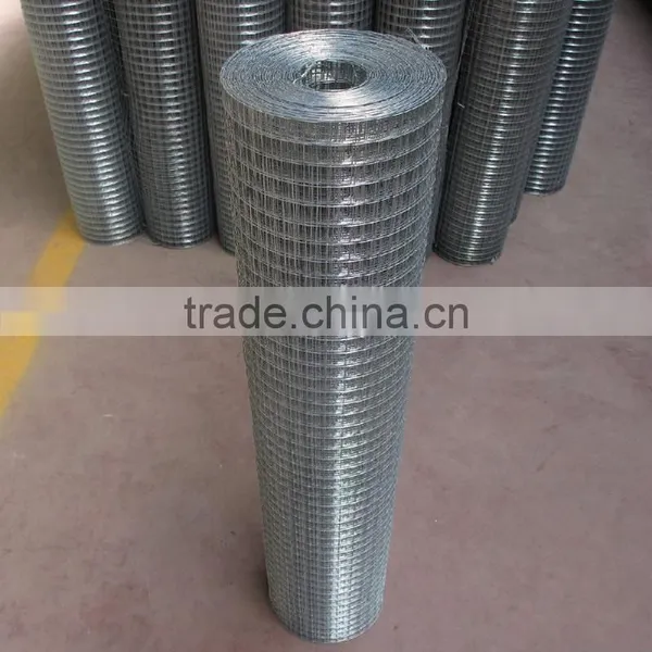 Green Plastic Coated Welded Wire Mesh photo-2