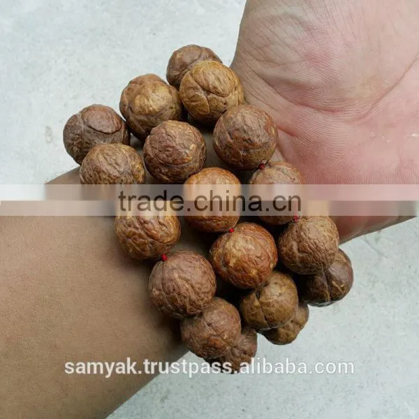 Buddha Chitta 13 Beads Bodhi Seed Genuine Indonesian Phoenix Eye Mala Phrengba photo-3