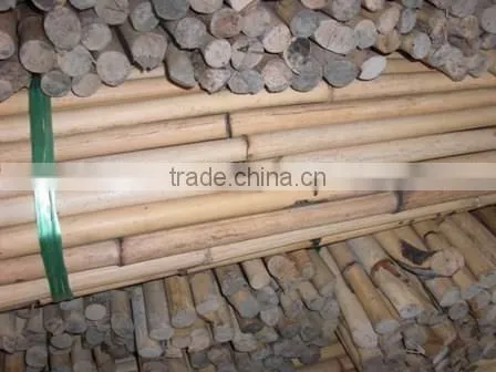 White Malacca, Mantang, Malacca, White Cane, Rattan, Cane, Rattan Cane, Rattan Pole, Pole, Cane Pole photo-3