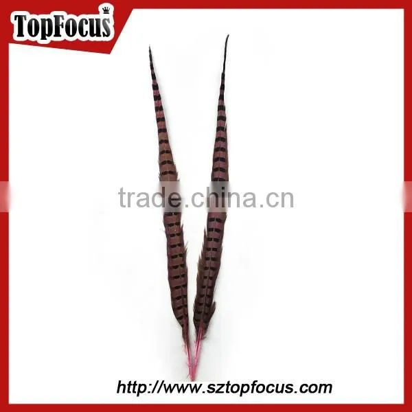 50-55 CM Natural Bulk Ringneck Tail Pheasant Feathers for Wedding Decoration photo-5