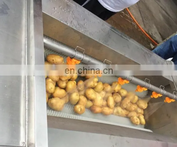 Automatic Vegetable Fruit Brush Cleaning Peeling Machine photo-3