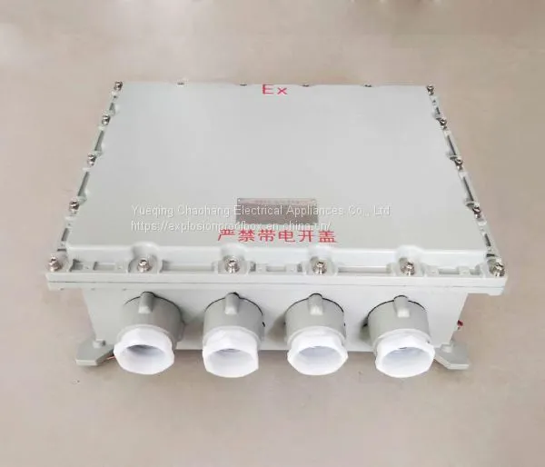 ABXJ51 Site Explosion-proof Junction Box 400*500*200 Explosion-proof UK Terminal Explosion-proof Distribution Box photo-4
