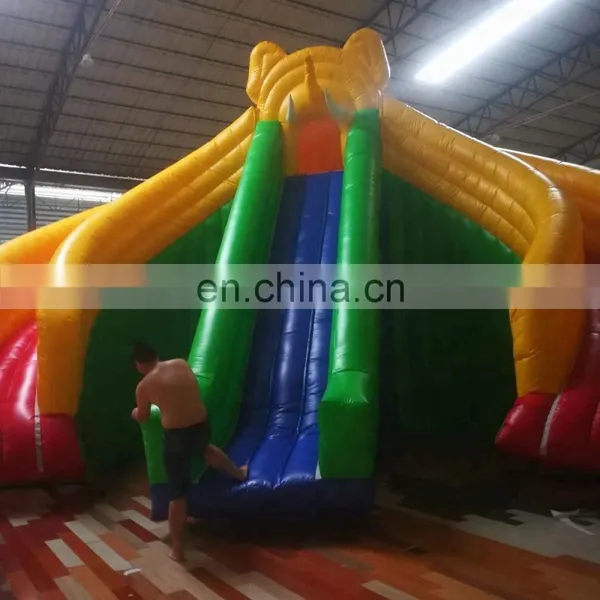 Hot Sale!!! New Design Inflatable Water Slide for Kids and Adult photo-5