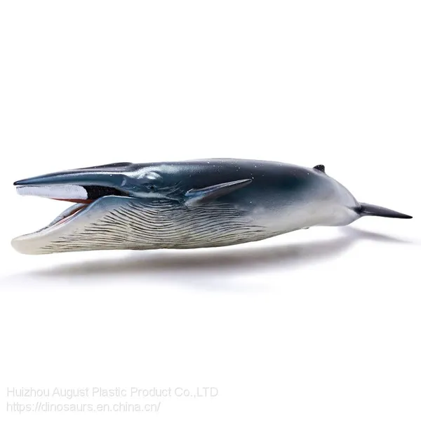 Non-Toxic Educational Factory Price PVC Animal Dinosaur Toys Balaenoptera Physalus Dino Simulation Dinosaur World photo-4
