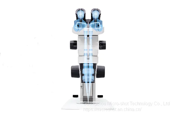 Scientific Grade Stereo-fluorescence Microscope MZX81 photo-3
