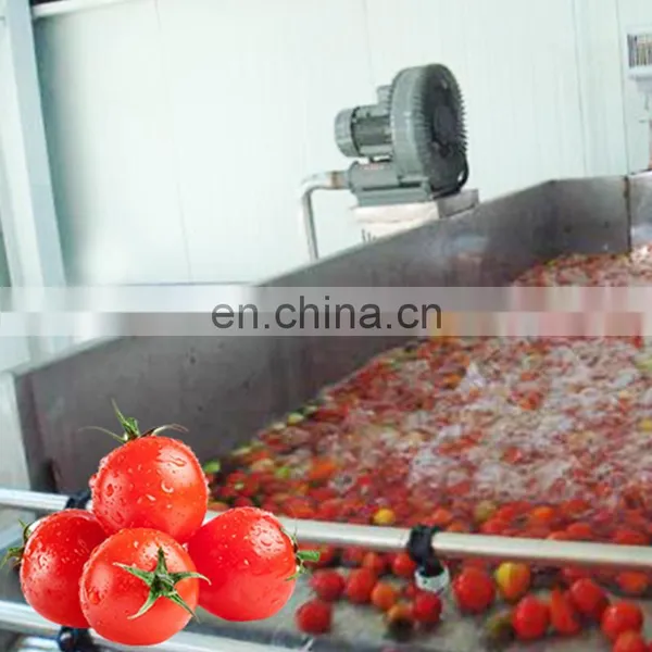 the Best Manufacturer of Industrial Paste Ketchup Production Plant photo-4