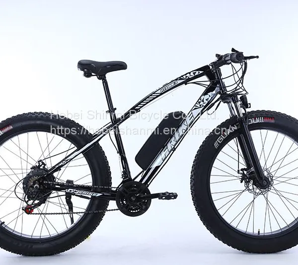 21 Speed Beach Cruiser Electric e Bike 48v 26inch Electric Bicycle Kit photo-4