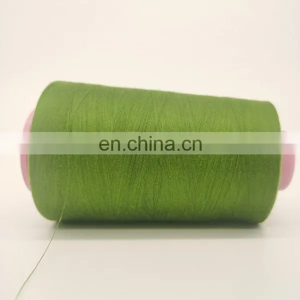 Water Resistant Repellent 30/3 20/4 Outdoor Stitch 100% Polyester WR Waterproof Sewing Thread 100%polyester,100% Polyester Spun photo-4