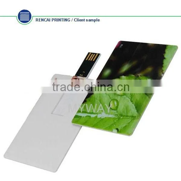 Best Promotional Gift 1gb USB Flash Drive/Paper USB 2.0 Card/Plastic USB Webkey Card photo-6