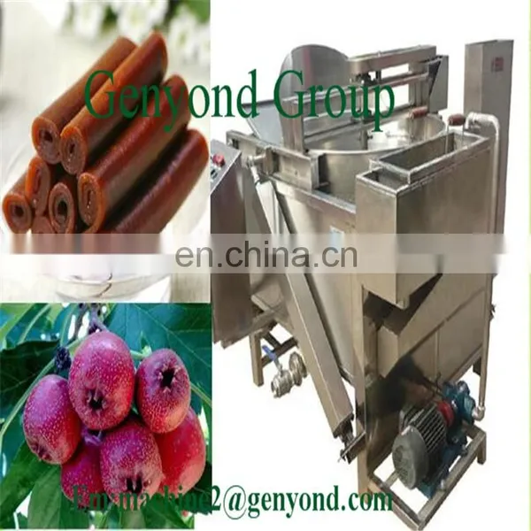 Factory Genyond Full Automatic Fruit Leather Production Line Processing Plant Roll up Scraping Forming Drying Making Machine photo-3