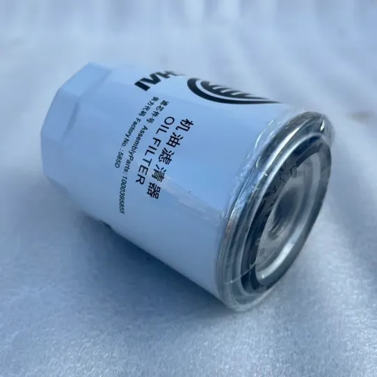 Hot Selling High Quality Fuel Filters 1000395855 Oil Filter for Wei Chai Top Construction Machinery Parts photo-5