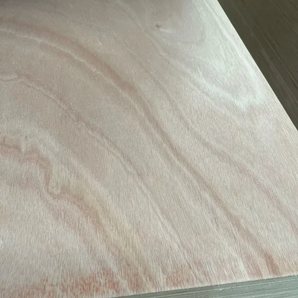 Full Eucalyptus Continuous Core Ultra-Flat Double-Optimized Multi-layer Plywood photo-2