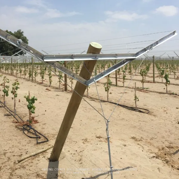 Vineyard Plants Grape Stake Hot Dipped Galvanized Metal Vineyard Trellis Post BOLI