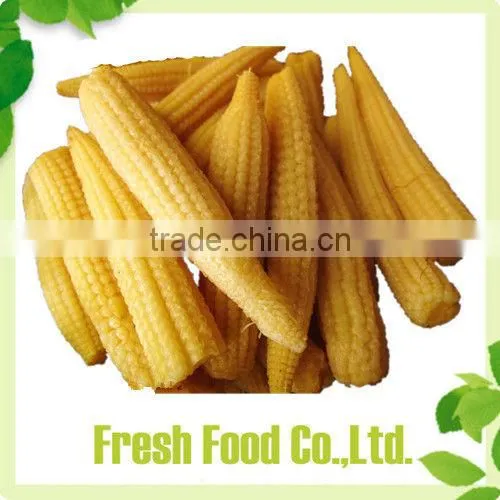 China Food Canned photo-2