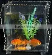 Acrylic Aquarium