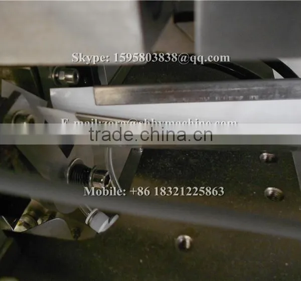 Automatic Tea Bag Filling Machine, Price Tea Bag With String and Label Packing Machine Supplier's Choice photo-6