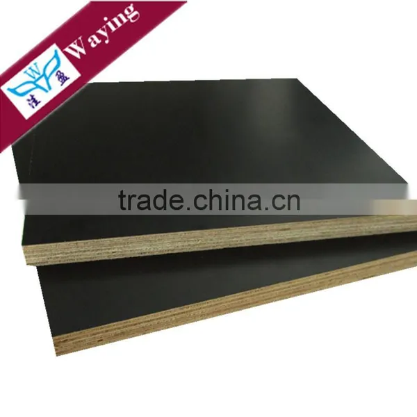Phenolic Board 3/4 for Philippine Market photo-3