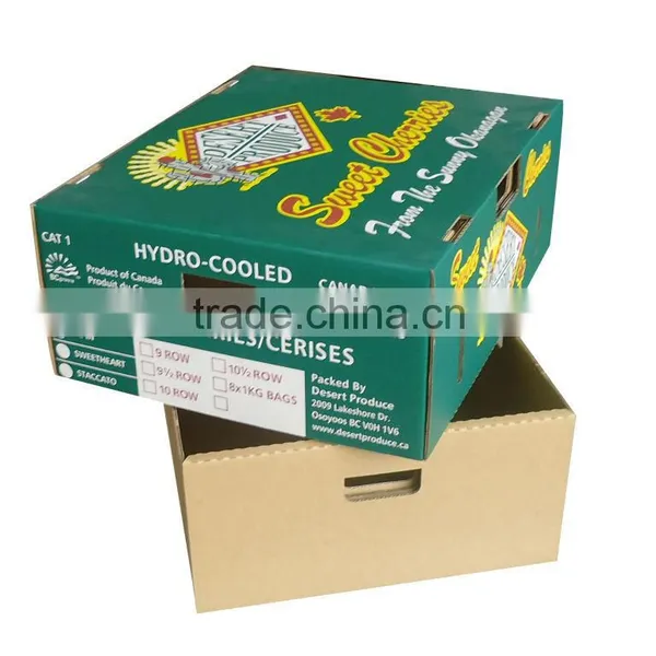 Corrugated Carton Box for Frozen Fruit Vegetable Packaging photo-5