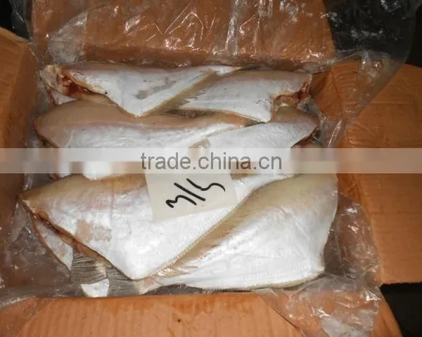 FROZEN LEATHER JACKET FISH photo-4