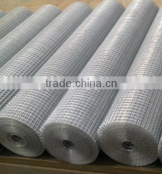 Electro Galvanized Welded Wire Mesh, Cheap Chicken Wire Coops Guangzhou Factory