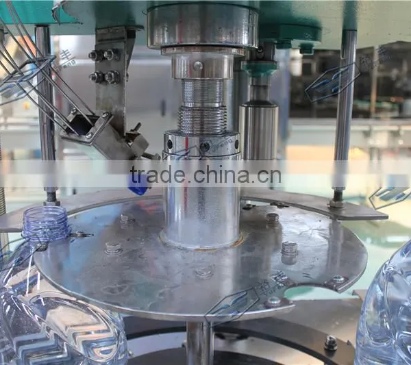 Capping Machine for Plastic Caps/screw Capping Machine photo-4