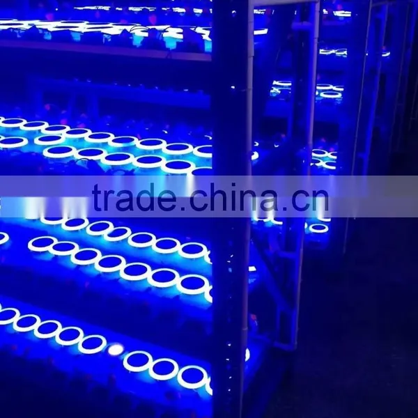 Round LED Panel Light White +blue Bi-color Two Color LED Decorative Ceiling Lihgt 2016 Hotsale Exporting Product Made in China photo-4