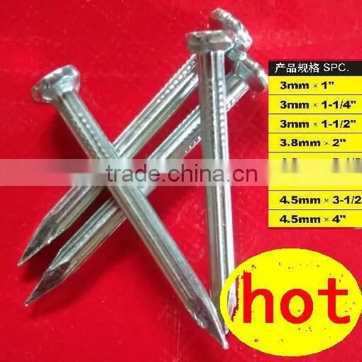 Tanzania Market Fast Sell Concrete Nails