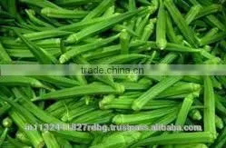 Fresh Indian Vegetables Exporter