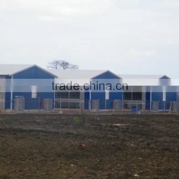 Steel Structure Building photo-2