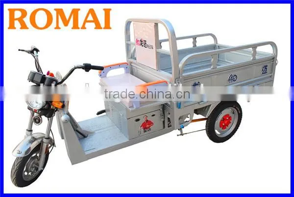 for Cargo E-rickshaw