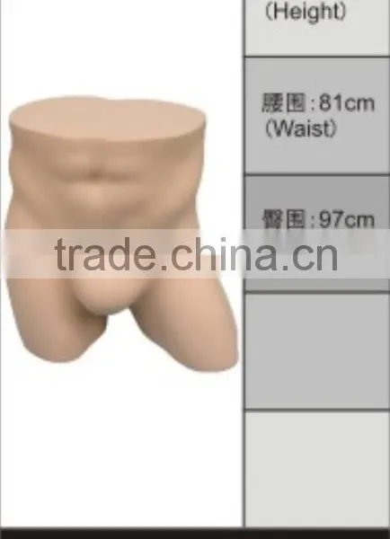 2016 Fashionable Style Sexy Male Mannequin For Underwear Window Display photo-2