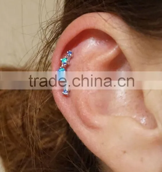 Surgical Stainless Steel Jewelry Tragus Piercing Earring Plugs Stud Ear Cartilage Earrings Jewelry Fashion Earrings photo-2