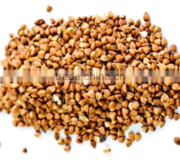 BUCKWHEAT GRAIN photo-2