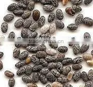 CHIA SEEDS CHIA PERU