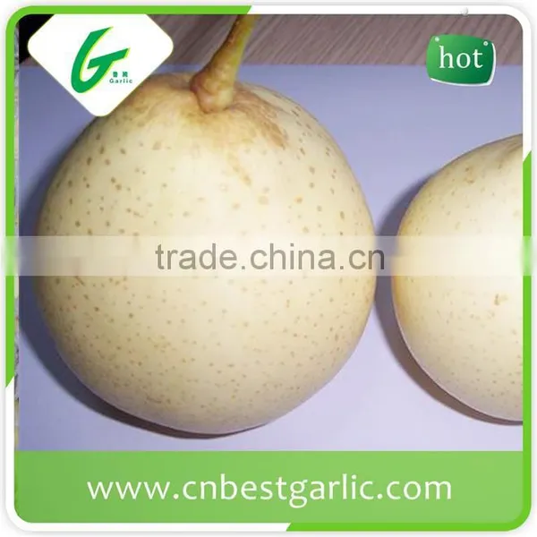 HACCP Passed. Chinese Bulk Export Fresh ya Pear photo-6