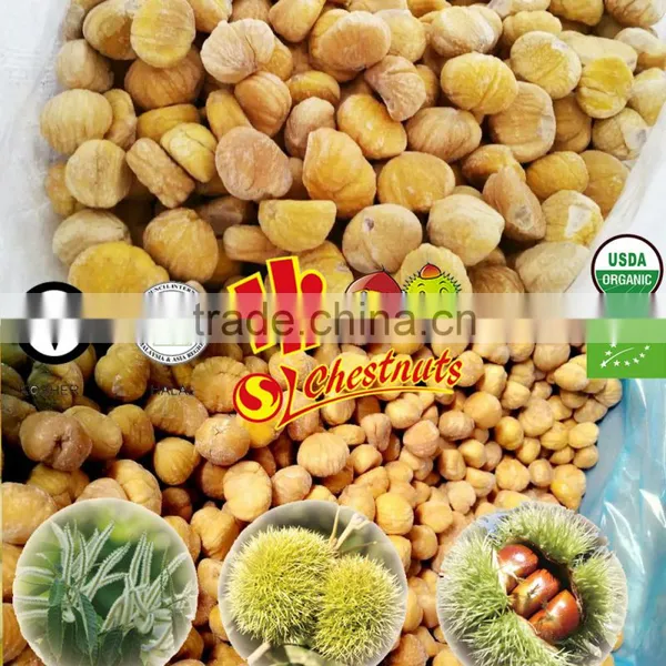 Wholesale IQF Chestnuts Bulk Frozen Chestnuts From China photo-2