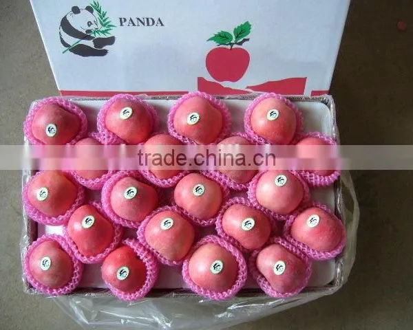 Hot Sale Fuji Apple photo-4