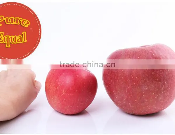 New 2016 Professional Delicious High Quality Fresh Red Hanfu Apple photo-2