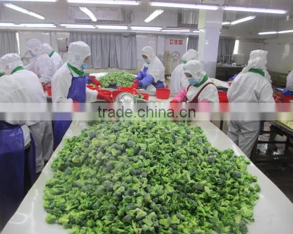 Frozen Vegetables photo-2