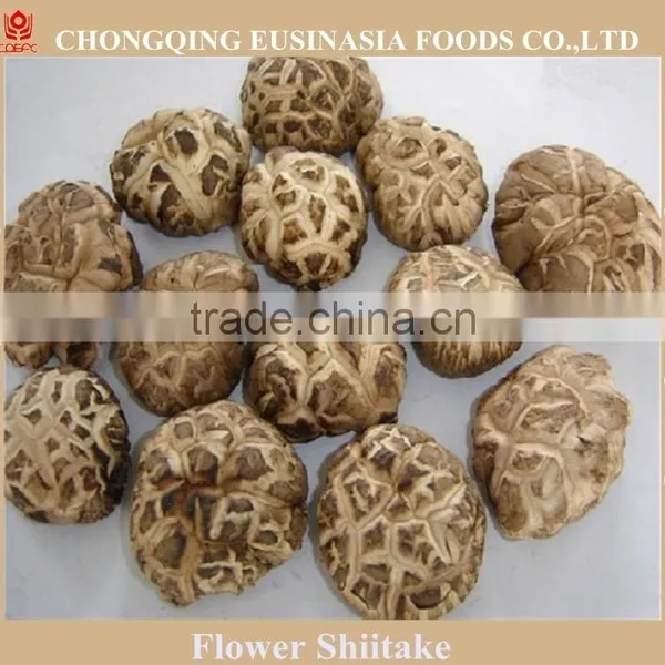 Dried Flower Mushroom