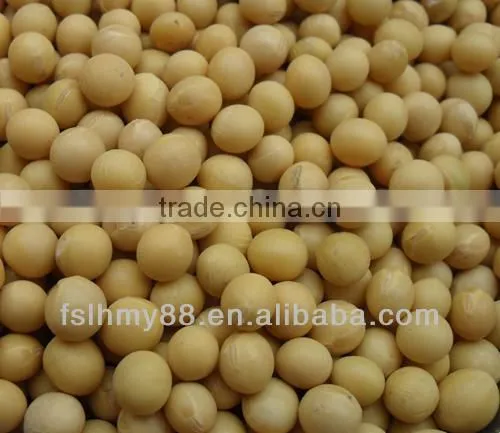 Medium Yellow Bean/soya Bean/soybean 4.0-7.0mm